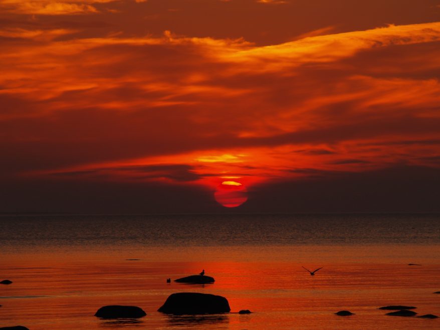 sunset over the sea. beautyful estonian summer.