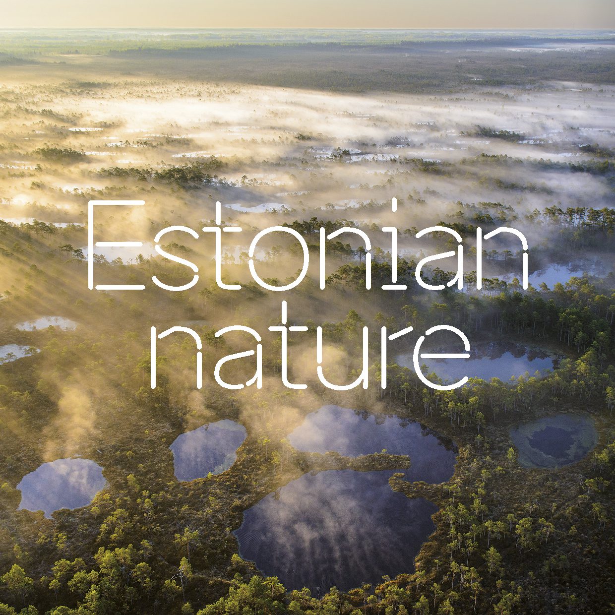 Estonian nature